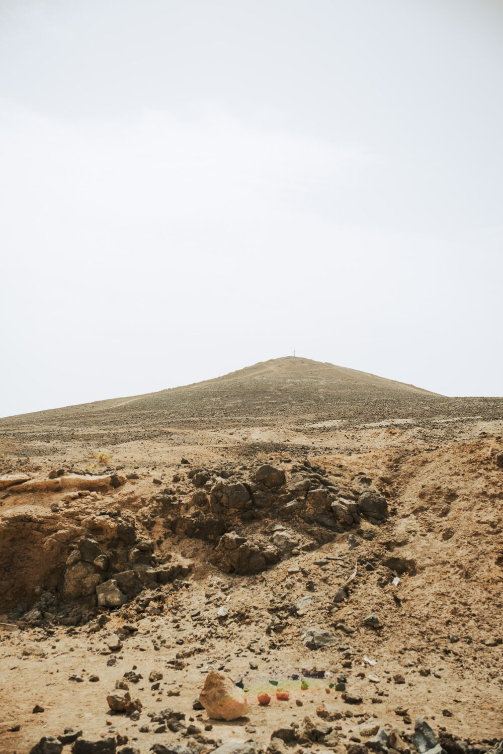 Luxury wedding art commission 6