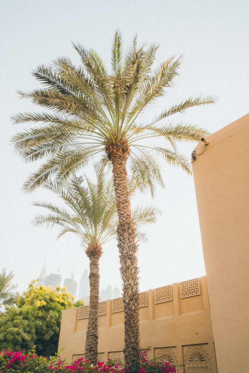 dubai wedding photographer 81