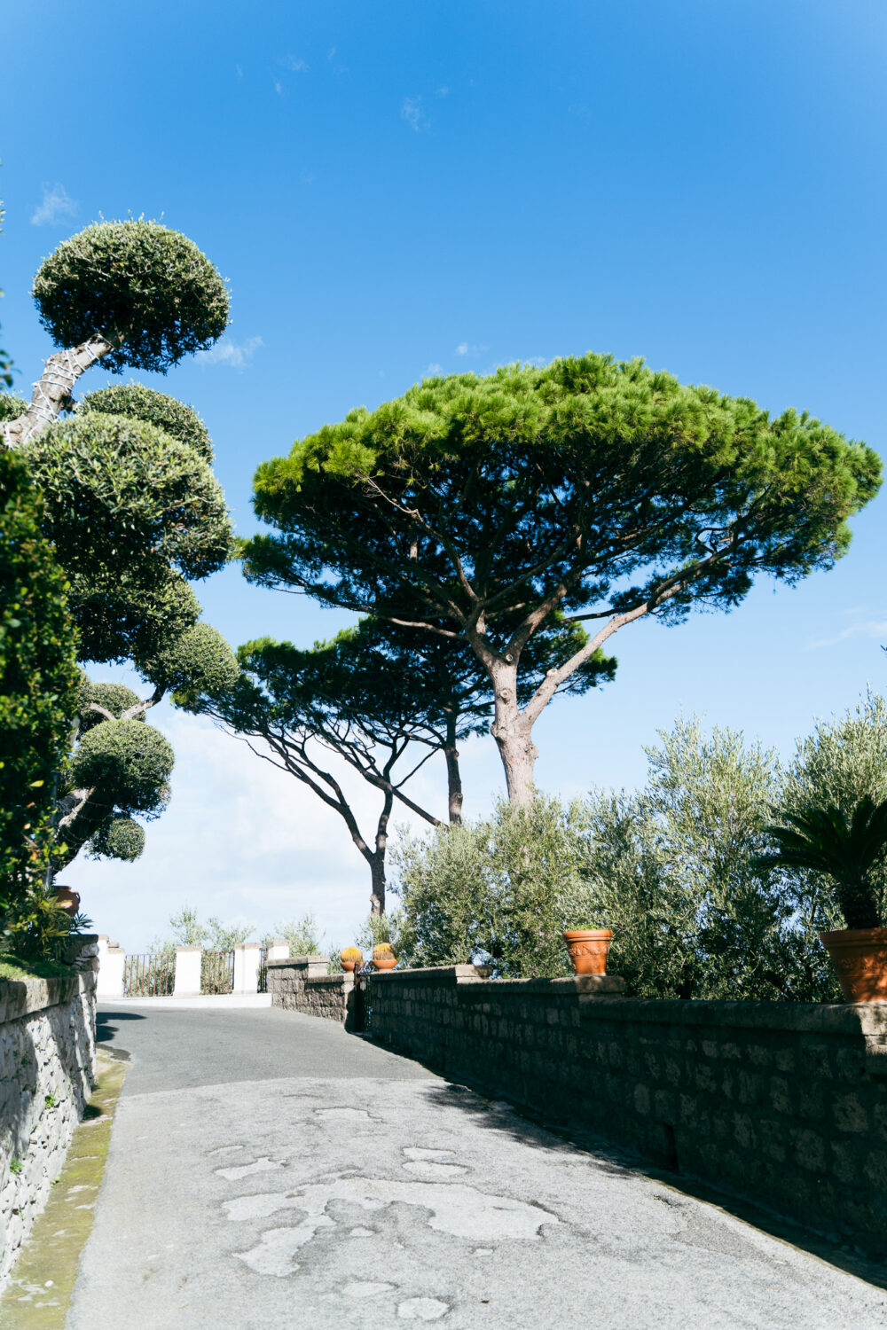 indian wedding sorrento 1157
