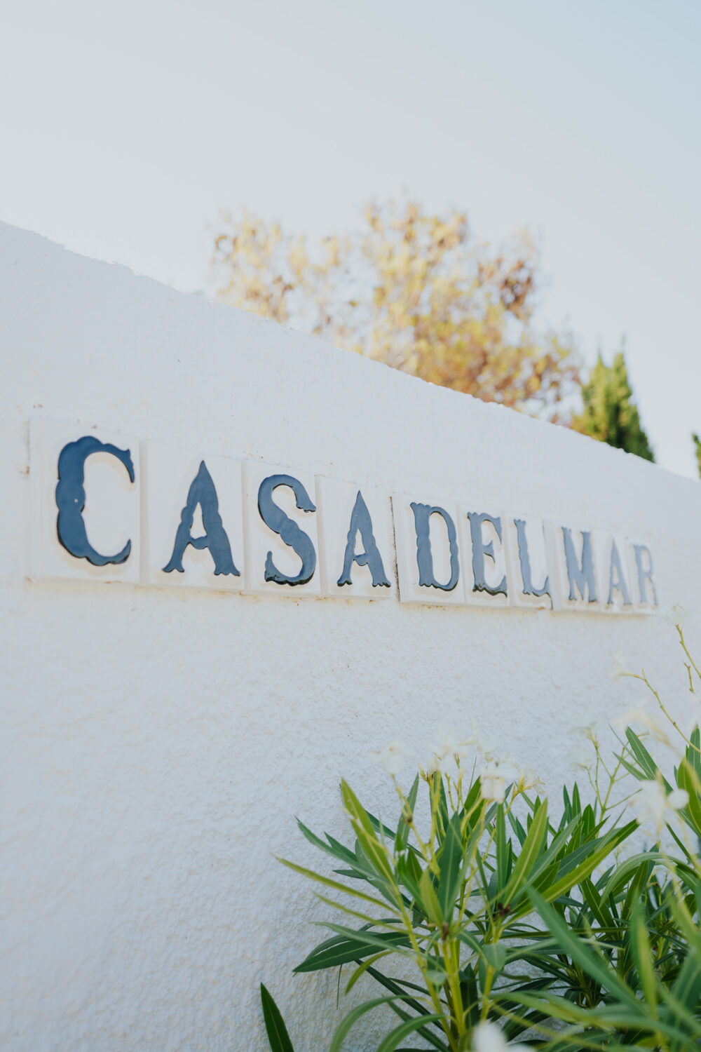 sitges indian wedding 728