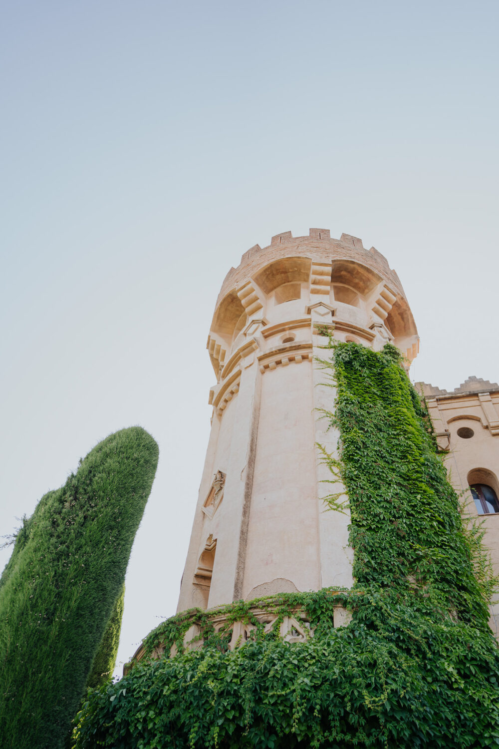 Rose petals scattered on the grass after the Jewish wedding ceremony at Castell de Sant Marçal